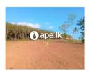 Galle Bentota Land For Sale